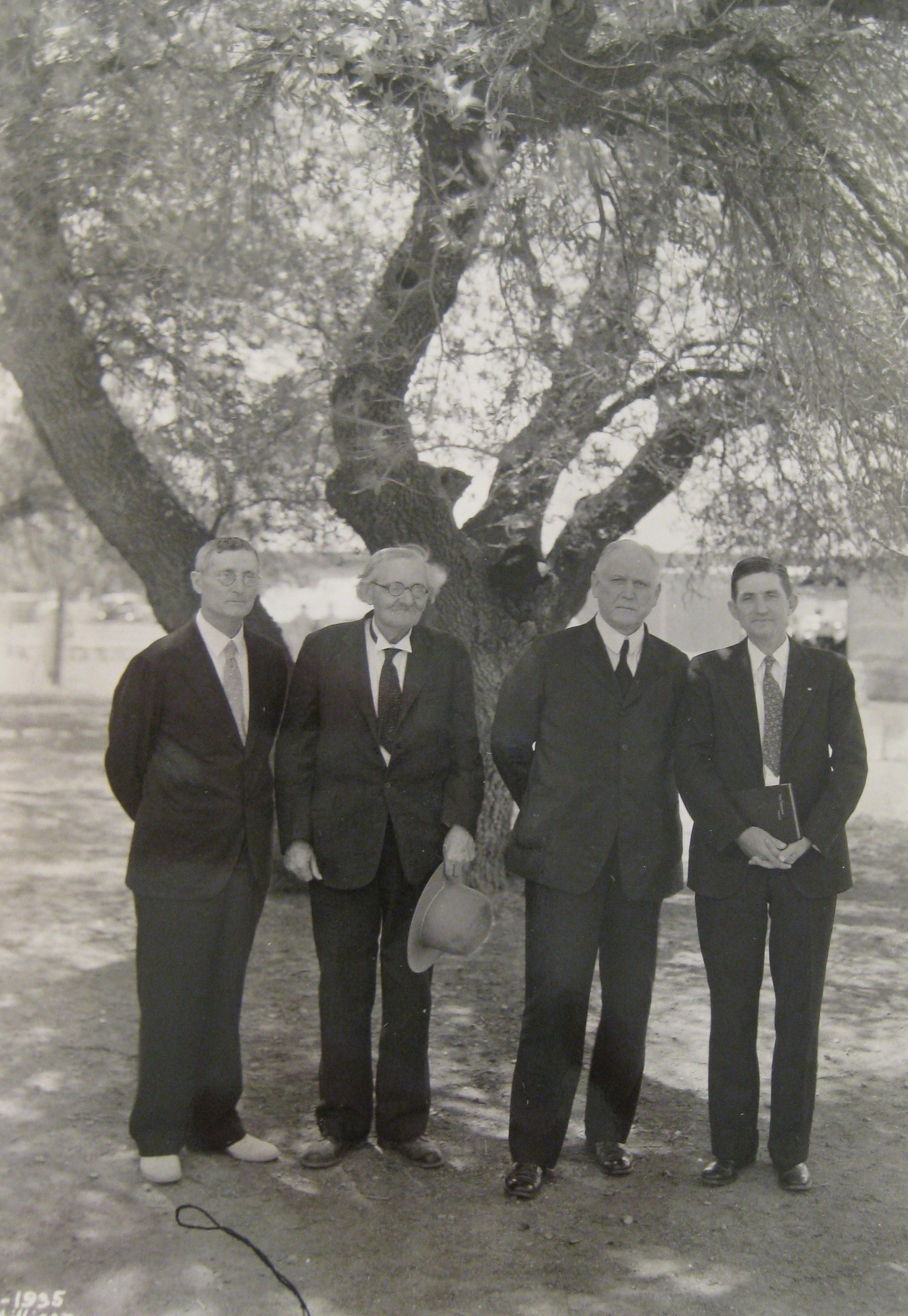 tidwellmillicantruettangell